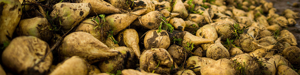 Asset-Quantification