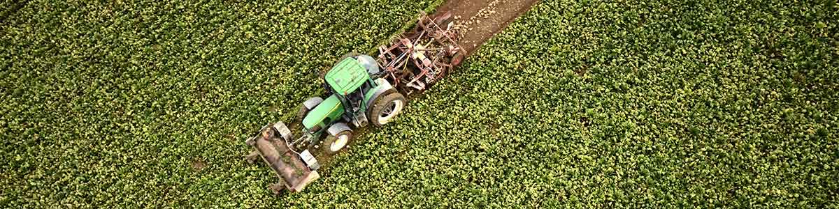 ESMC-in-the-News ESMC-in-the-News