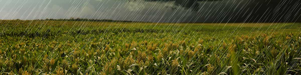 Economic-Analysis Economic-Analysis