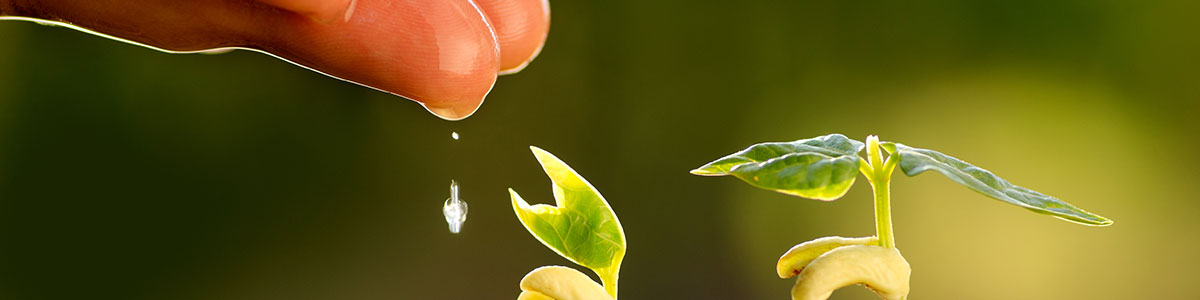 Founding-Circle Founding-Circle