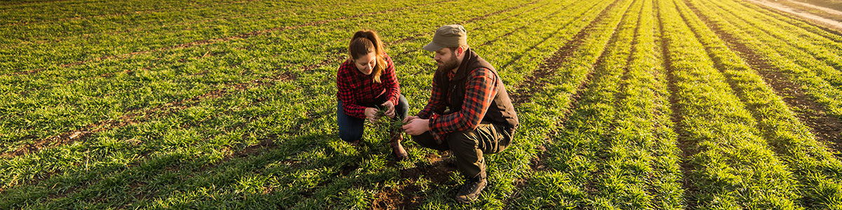 MRV-Technology MRV-Technology