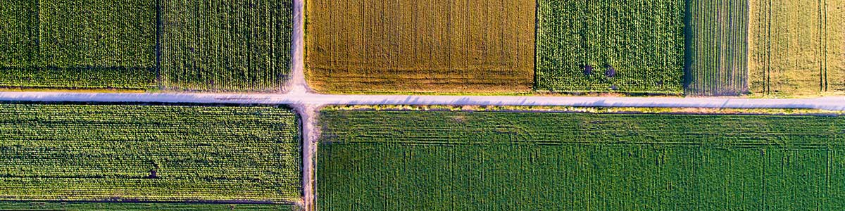 Pilot-Projects Pilot-Projects