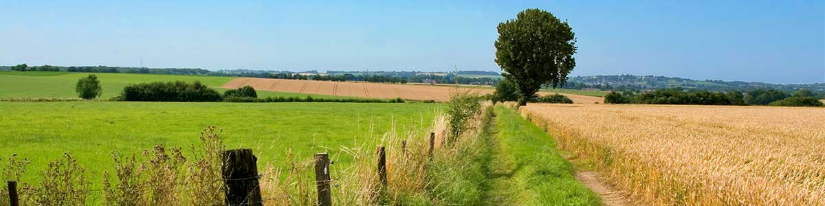 Protocol-Assessments Protocol-Assessments