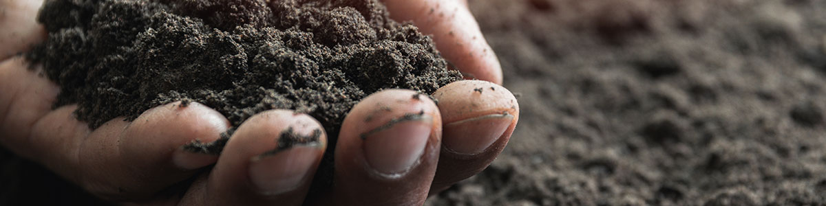 Research-Consortium Research-Consortium