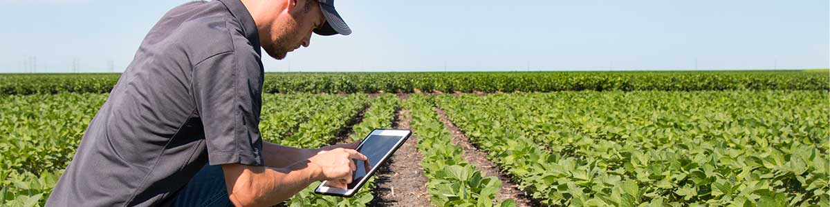 Technical-Contrctors