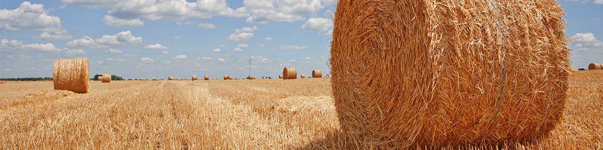 Technical-RFPs Technical-RFPs