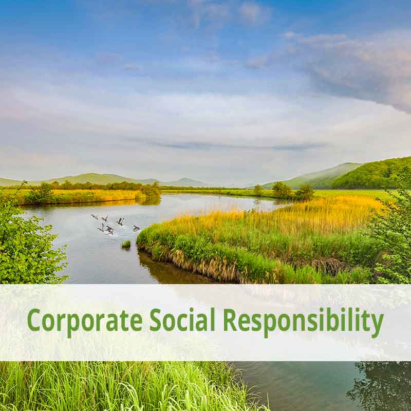 corporate-social-responsibility