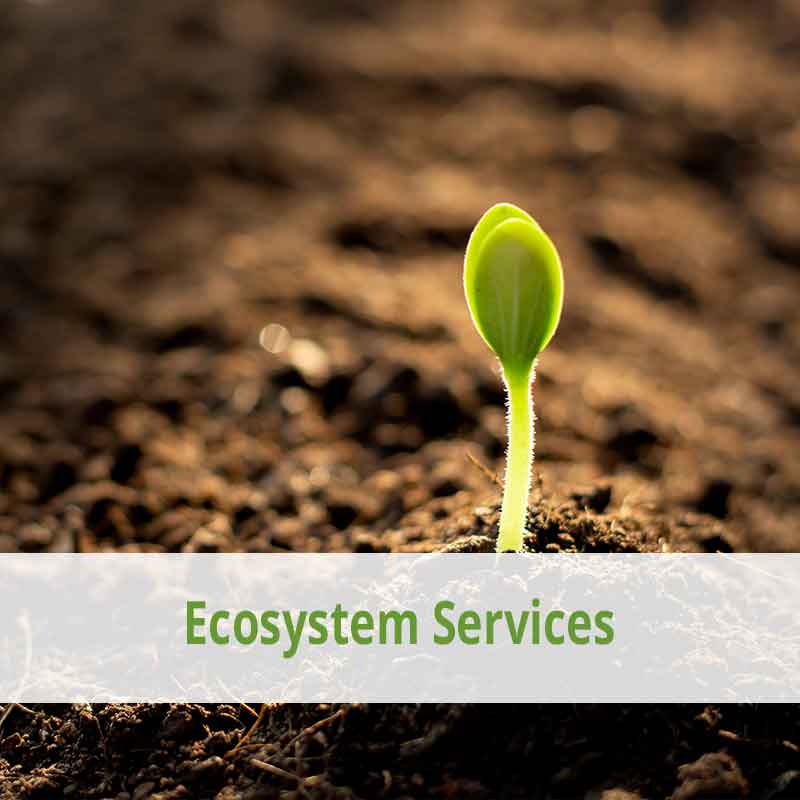 ecosystem-services